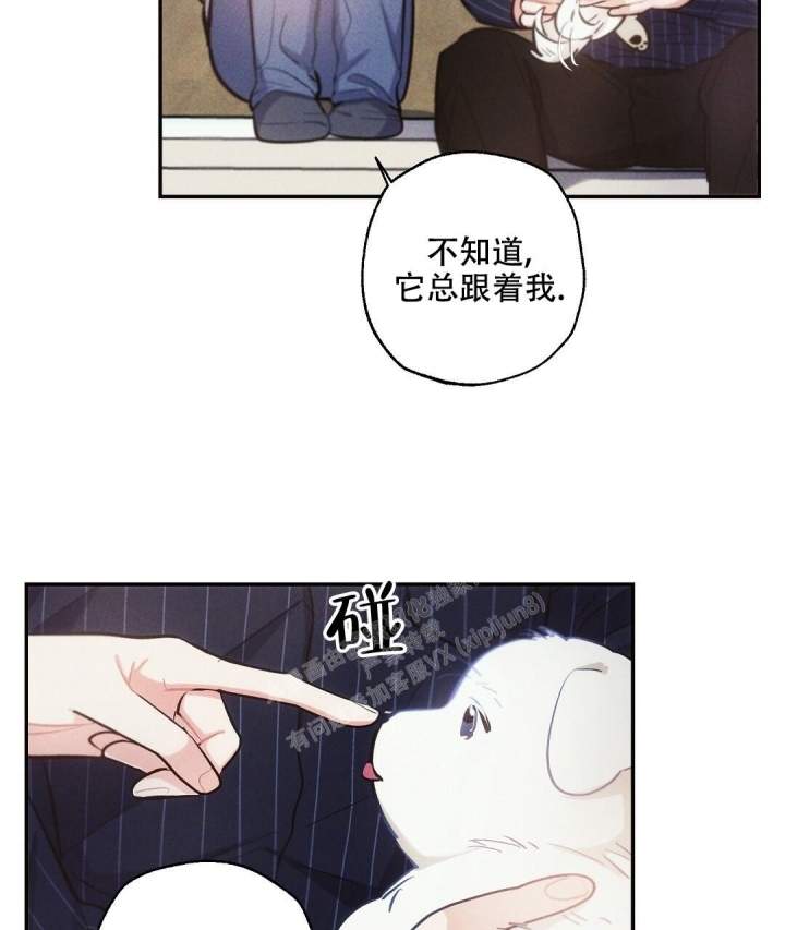《疾风骤雨(第I II季)》第81话 第36页