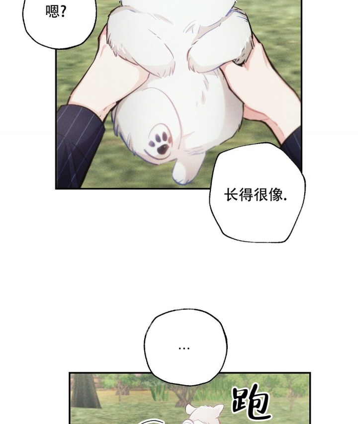《疾风骤雨(第I II季)》第81话 第39页