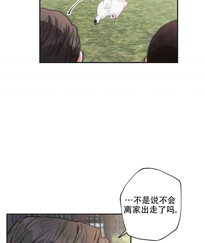《疾风骤雨(第I II季)》第81话 第40页