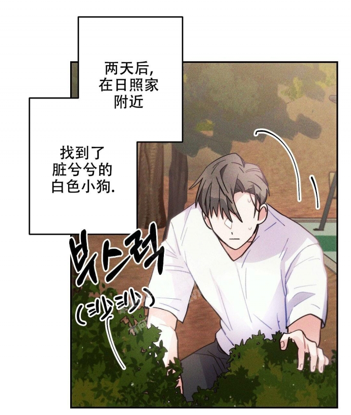 《疾风骤雨(第I II季)》第96话 第20页