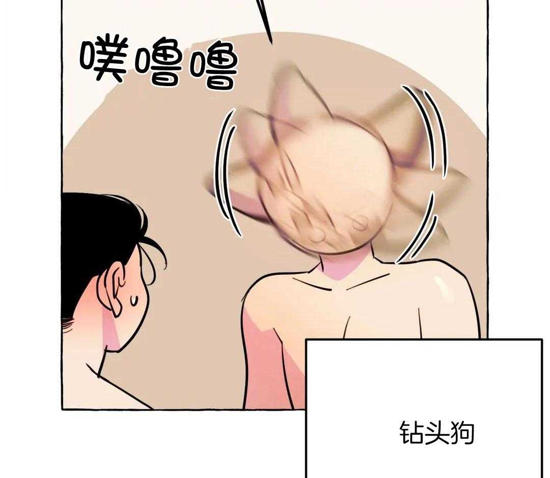 《三三的家》第47话 第11页