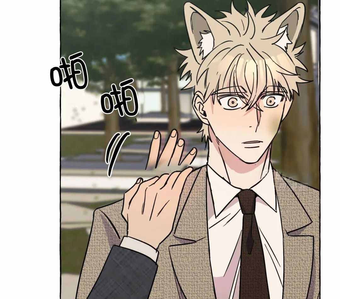 《三三的家》第51话 第4页