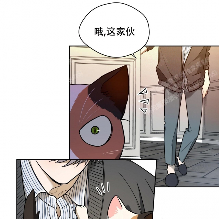 《夜的奖励》第89话 第51页