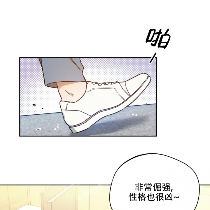 《夜的奖励》第114话 第45页