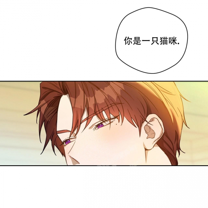 《夜的奖励》第123话 第55页
