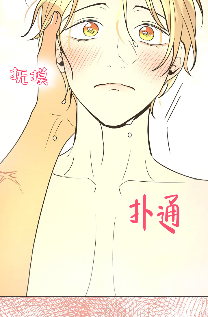 《逃跑计划(I II季)》第154话 第22页