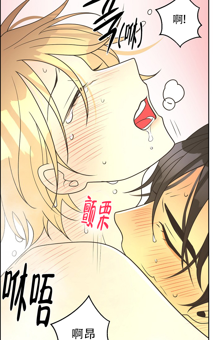 《逃跑计划(I II季)》第154话 第44页
