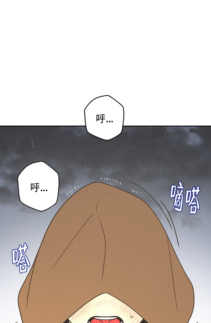 《逃跑计划(I II季)》第155话 第19页