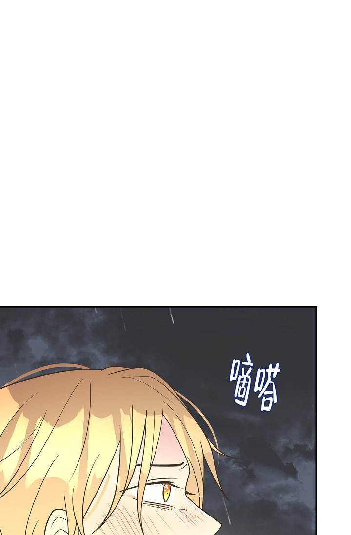 《逃跑计划(I II季)》第155话 第28页