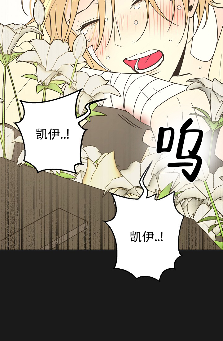 《逃跑计划(I II季)》第152话 第13页