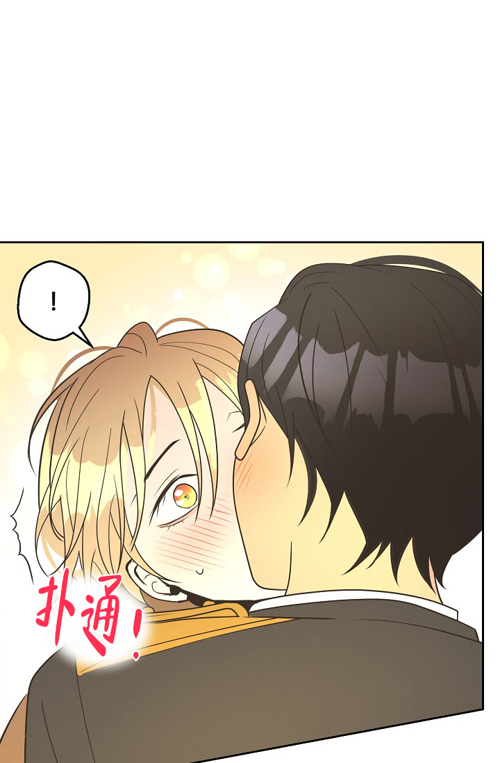 《逃跑计划(I II季)》第156话 第6页