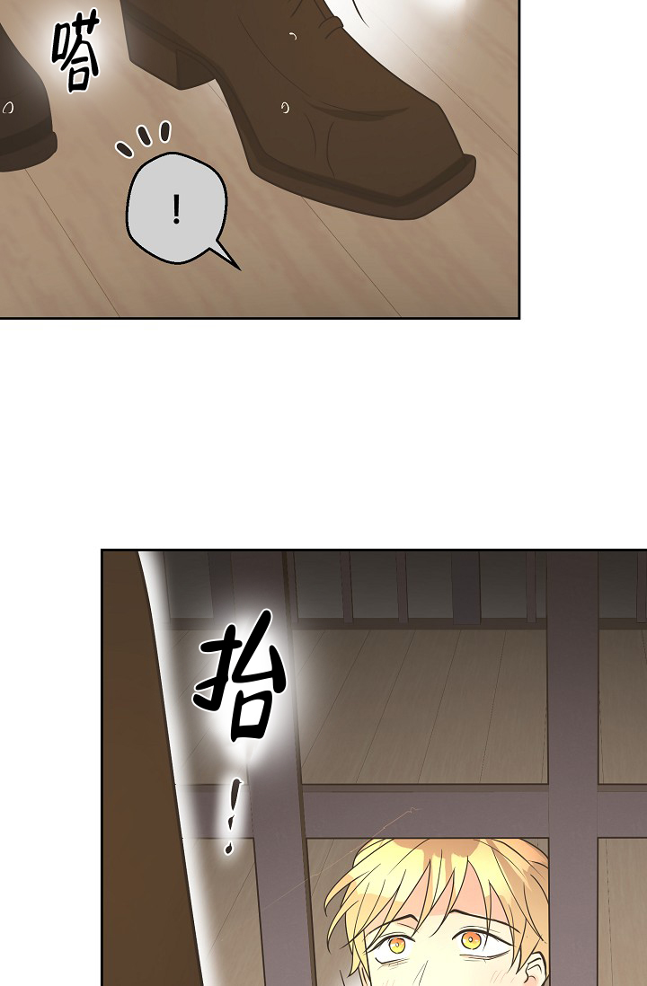 《逃跑计划(I II季)》第147话 第49页