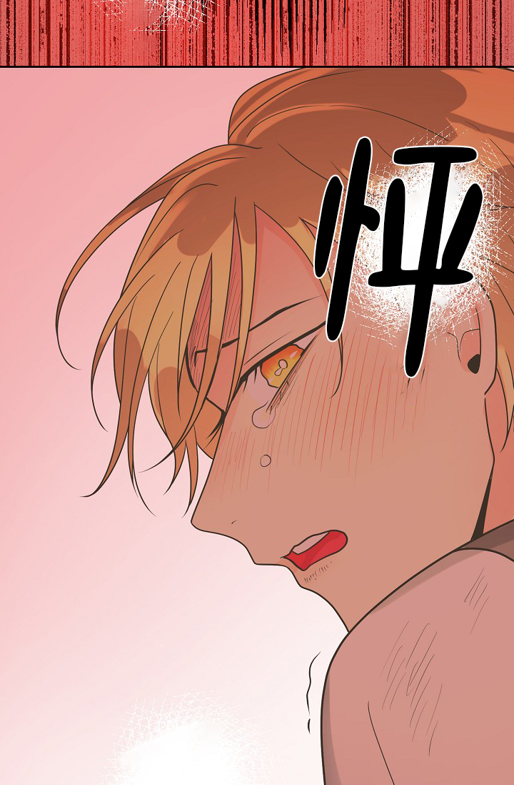 《逃跑计划(I II季)》第148话 第27页