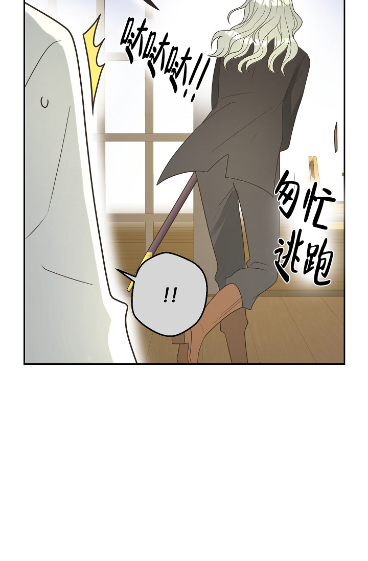 《逃跑计划(I II季)》第148话 第55页