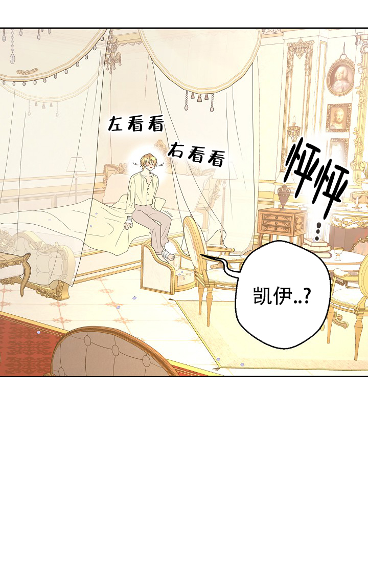 《逃跑计划(I II季)》第151话 第51页