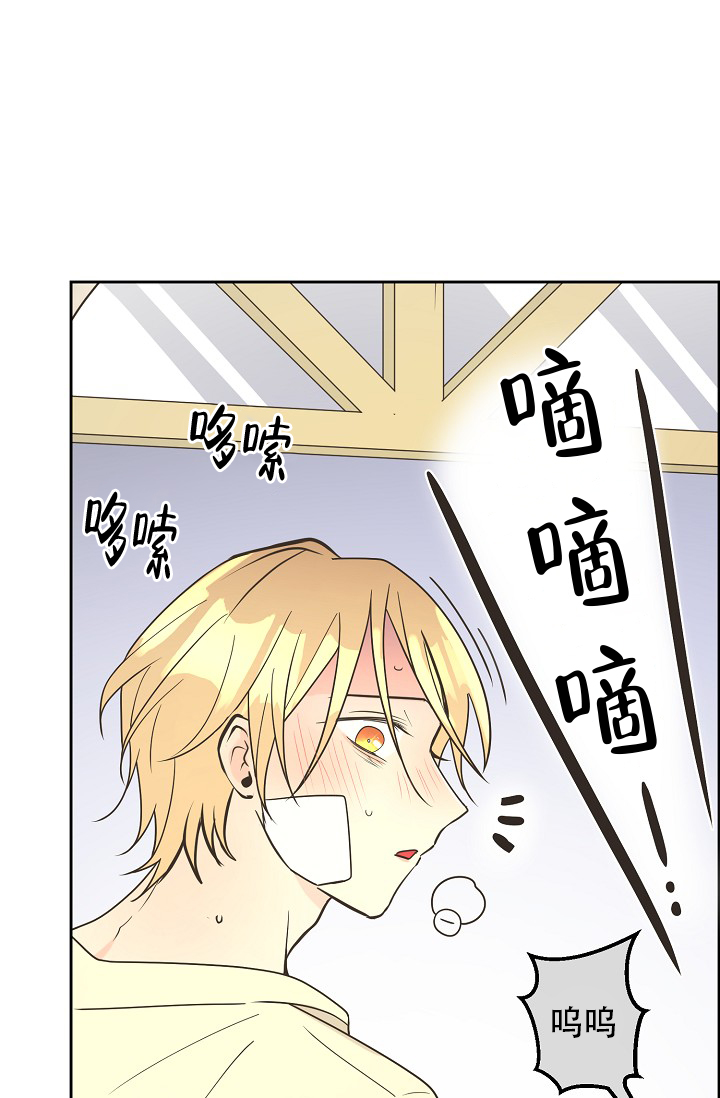 《逃跑计划(I II季)》第151话 第53页
