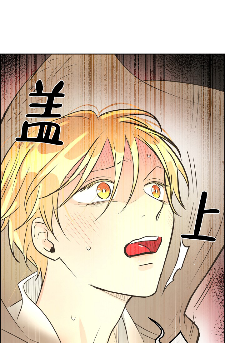 《逃跑计划(I II季)》第143话 第36页