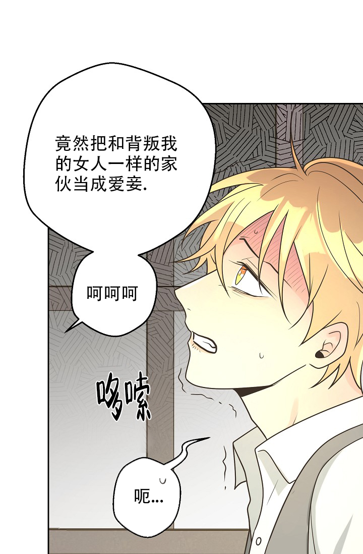 《逃跑计划(I II季)》第146话 第15页