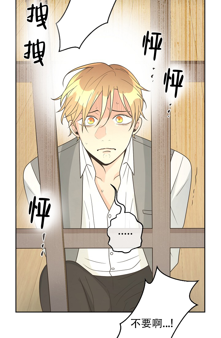 《逃跑计划(I II季)》第146话 第39页
