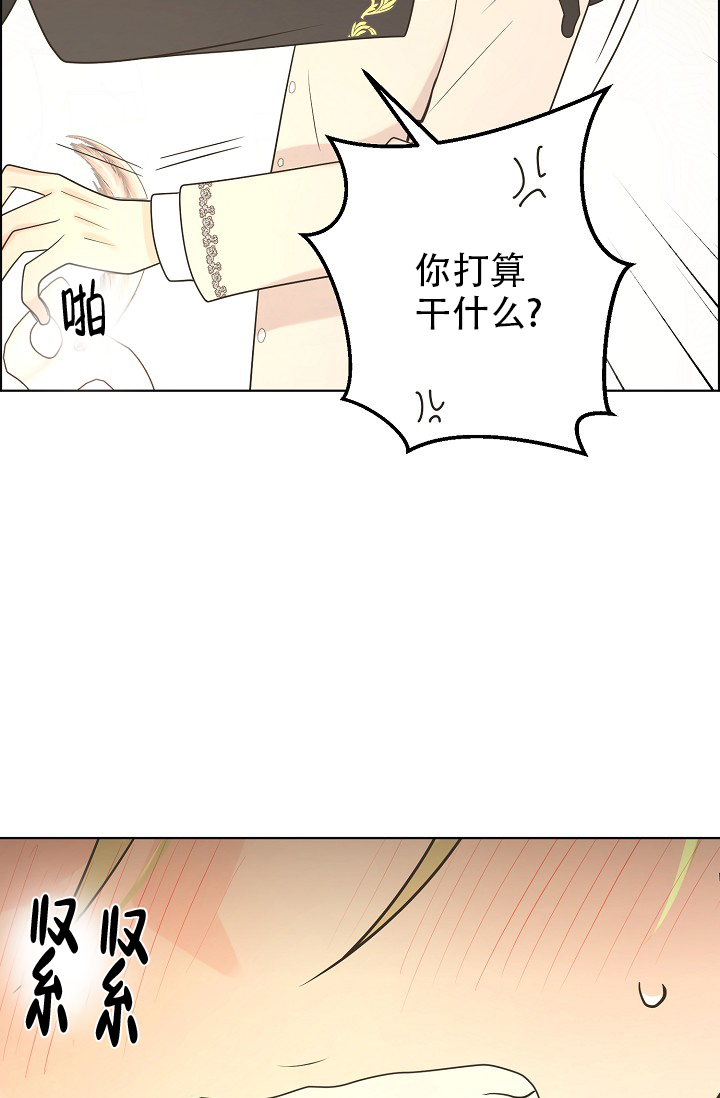 《逃跑计划(I II季)》第137话 第12页