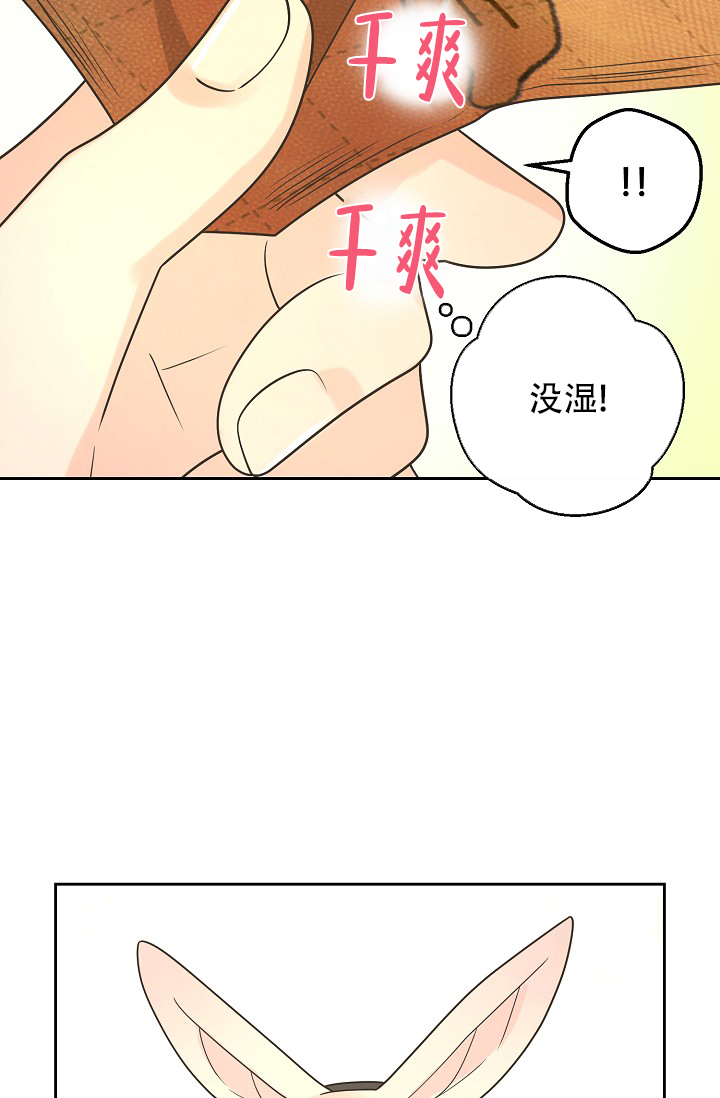 《逃跑计划(I II季)》第141话 第11页