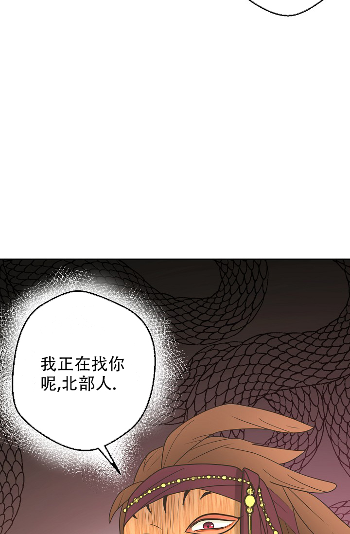 《逃跑计划(I II季)》第141话 第44页