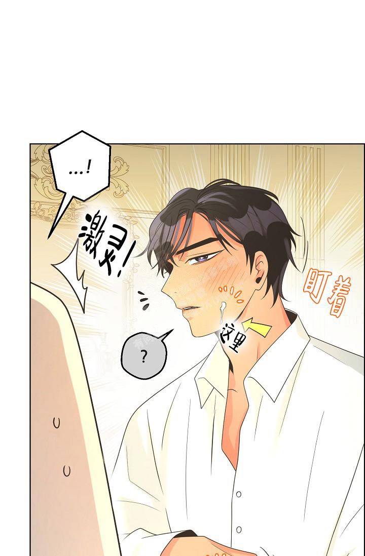 《逃跑计划(I II季)》第127话 第17页