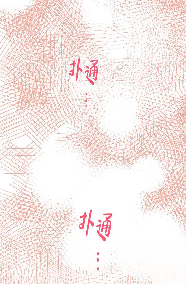 《逃跑计划(I II季)》第128话 第3页