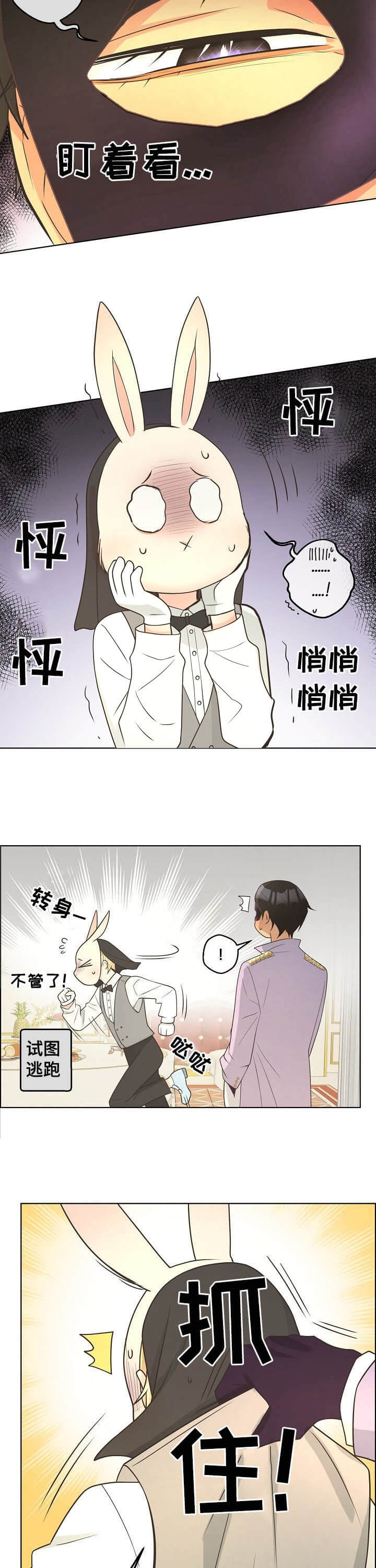 《逃跑计划(I II季)》第104话 第6页