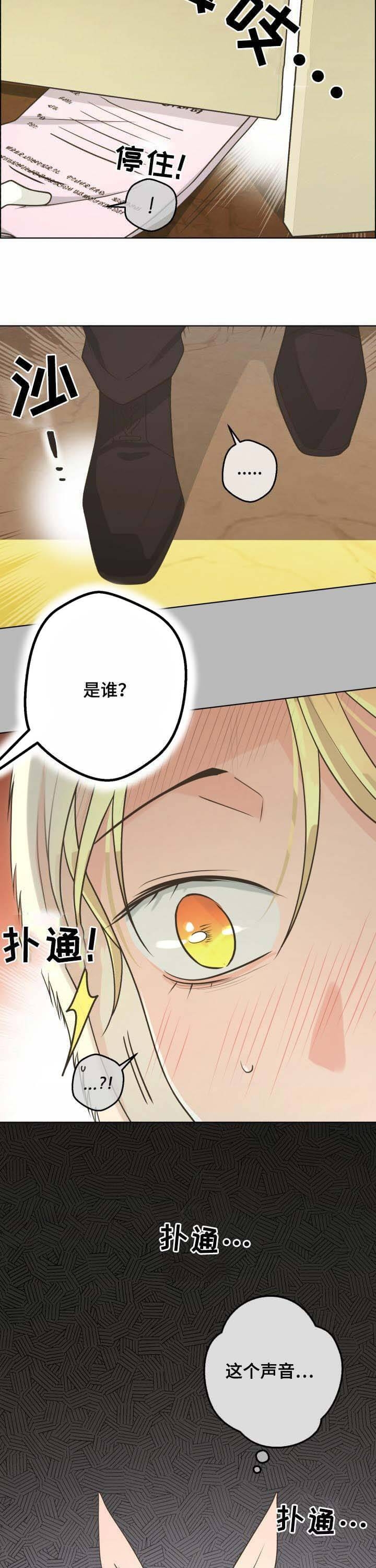 《逃跑计划(I II季)》第99话 第10页