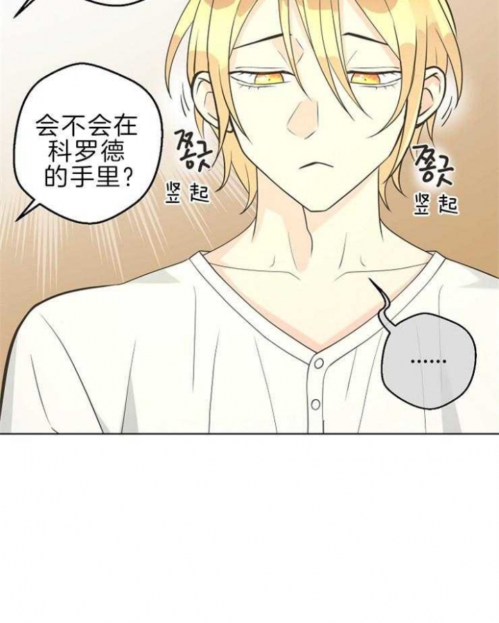 《逃跑计划(I II季)》第91话 第13页