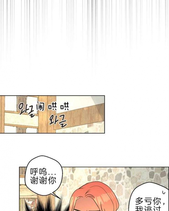 《逃跑计划(I II季)》第91话 第17页