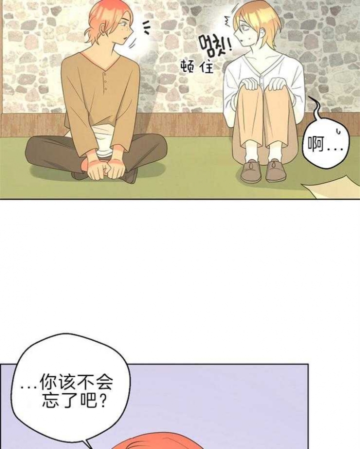 《逃跑计划(I II季)》第91话 第20页