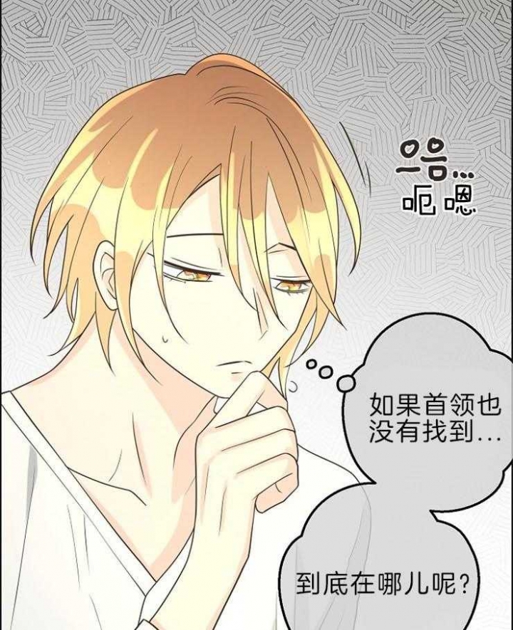 《逃跑计划(I II季)》第92话 第5页