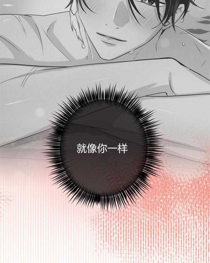 《逃跑计划(I II季)》第89话 第24页