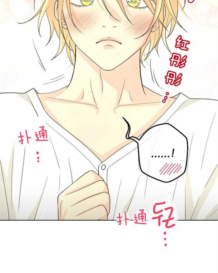 《逃跑计划(I II季)》第89话 第26页