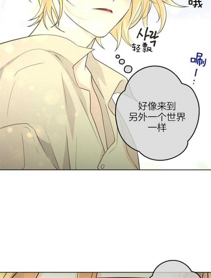 《逃跑计划(I II季)》第86话 第11页