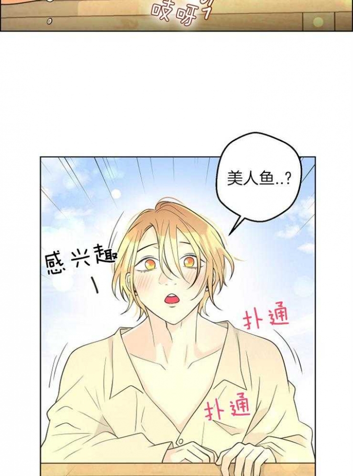 《逃跑计划(I II季)》第86话 第17页