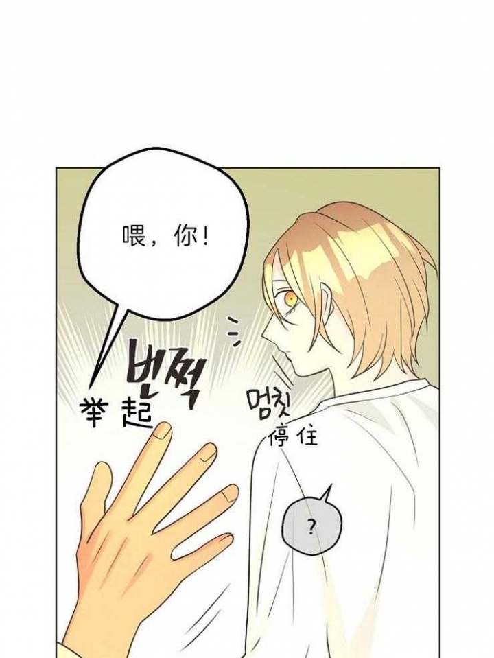 《逃跑计划(I II季)》第90话 第20页