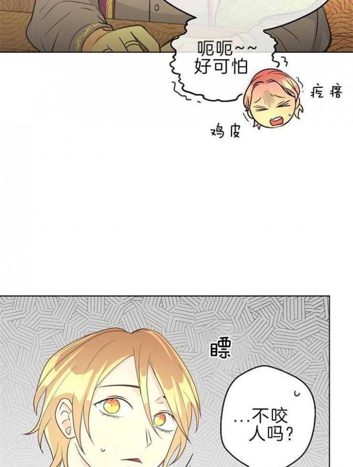 《逃跑计划(I II季)》第90话 第6页