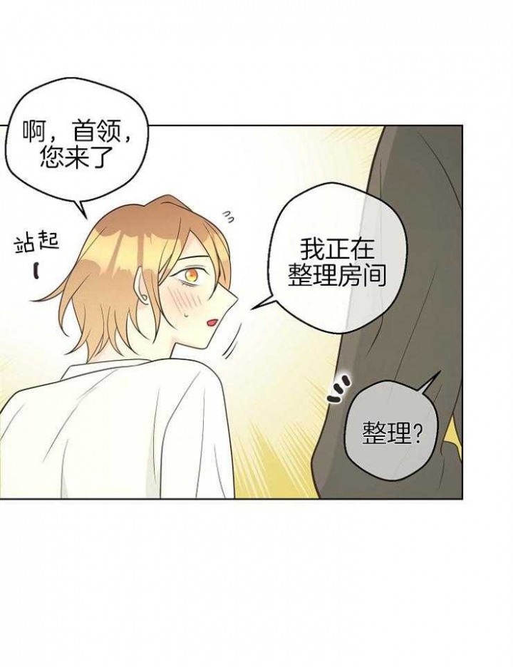 《逃跑计划(I II季)》第88话 第12页