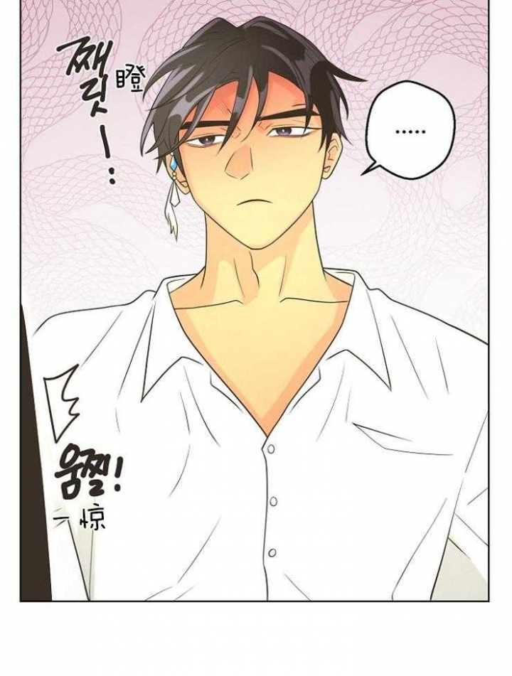 《逃跑计划(I II季)》第87话 第19页