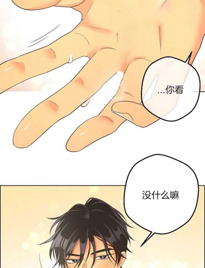 《逃跑计划(I II季)》第85话 第19页
