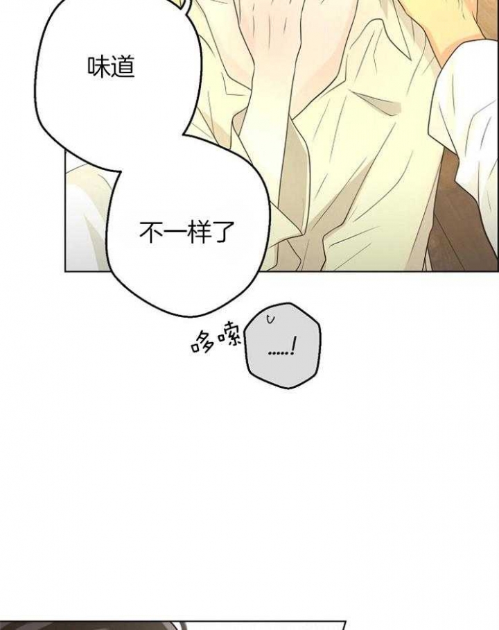 《逃跑计划(I II季)》第85话 第27页