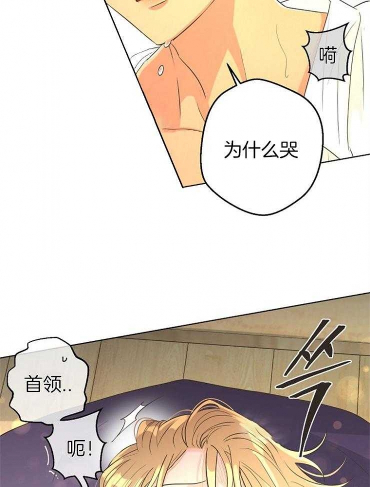 《逃跑计划(I II季)》第85话 第2页