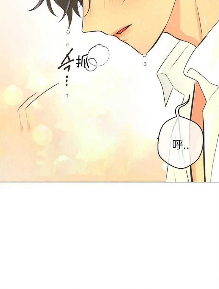 《逃跑计划(I II季)》第85话 第5页