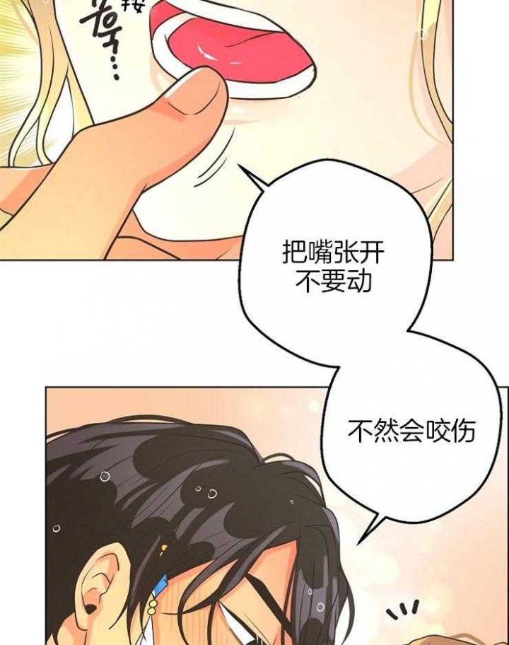 《逃跑计划(I II季)》第81话 第15页