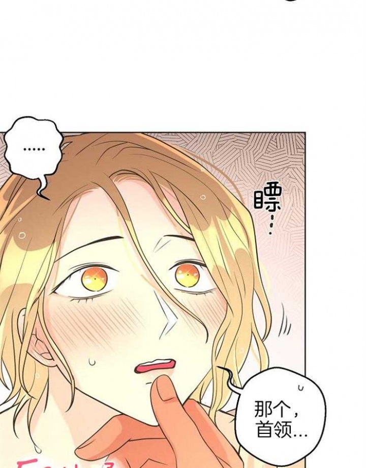 《逃跑计划(I II季)》第81话 第4页