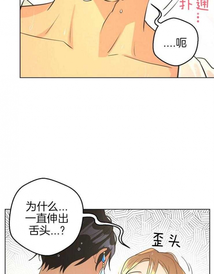 《逃跑计划(I II季)》第81话 第6页