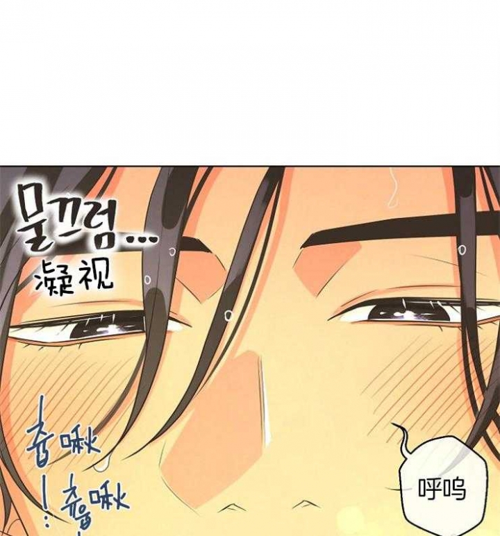 《逃跑计划(I II季)》第82话 第1页